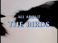 All About Birds