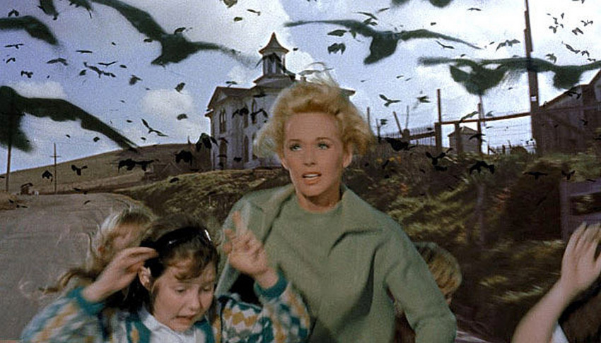 Tippi Hedren - Madarak (1963)